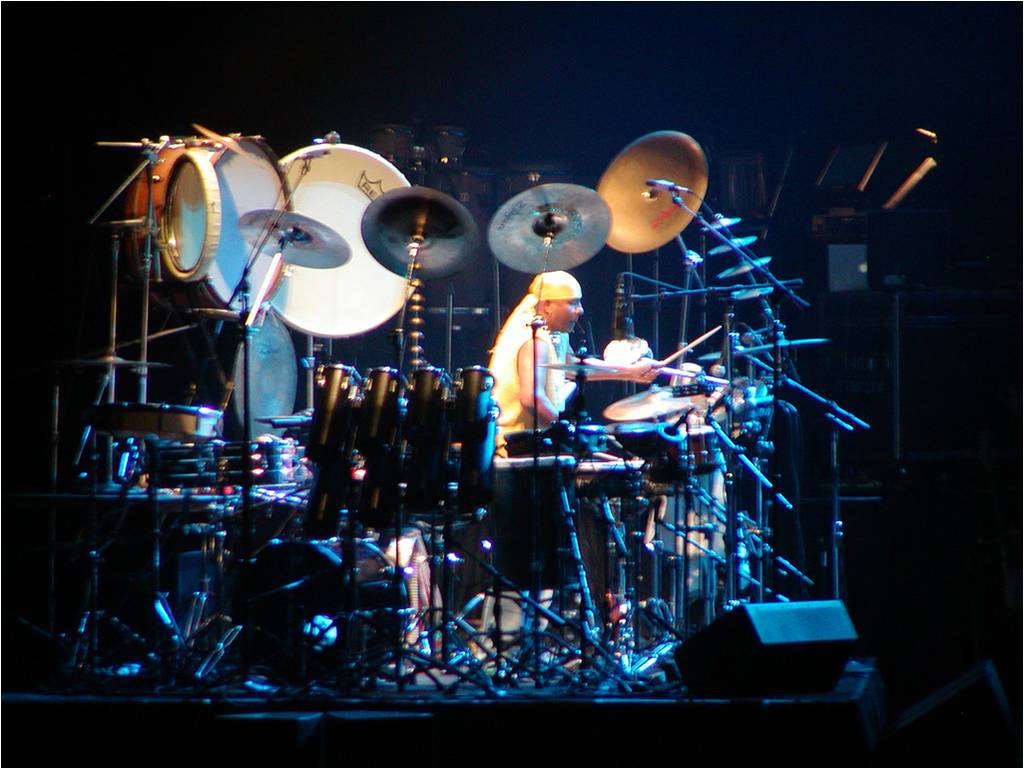 best percussionist udaipur